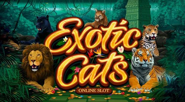 Microgaming unveils new slot game Exotic Cats